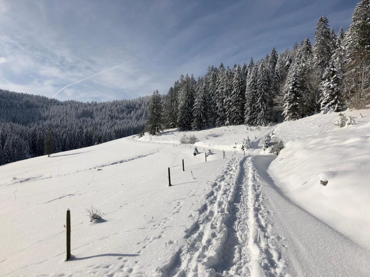 Naturparkhotel Schwarzwaldhaus Bernau im Schwarzwald Ngoại thất bức ảnh