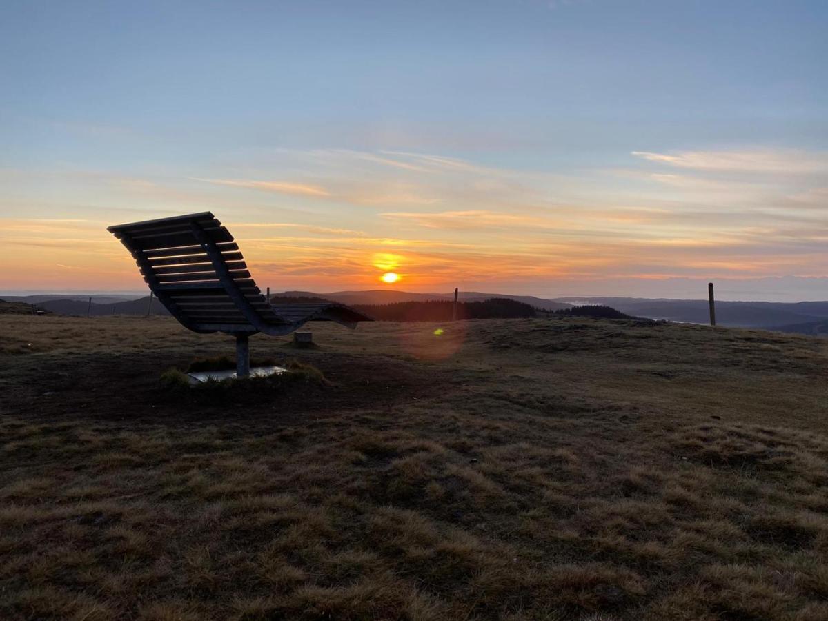 Naturparkhotel Schwarzwaldhaus Bernau im Schwarzwald Ngoại thất bức ảnh
